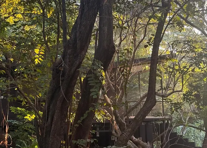 Garden Treehouse Ikhaya Refundores
